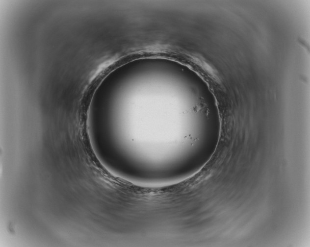 X0000096461160200801241400