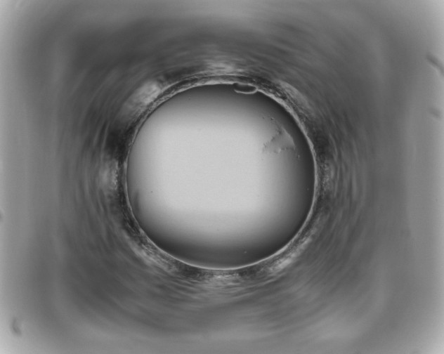 X0000096461161200801241400