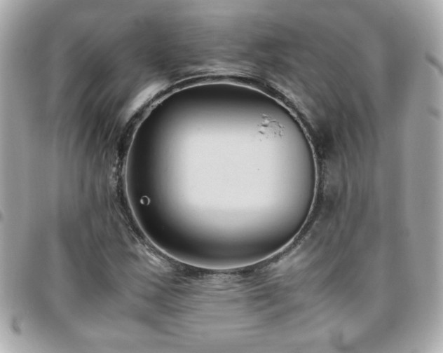 X0000096461163200801241400
