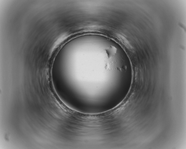 X0000096461164200801241400