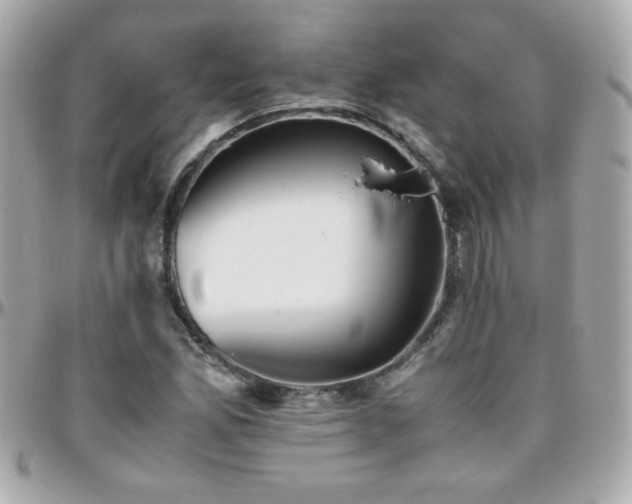 X0000096461165200801241400