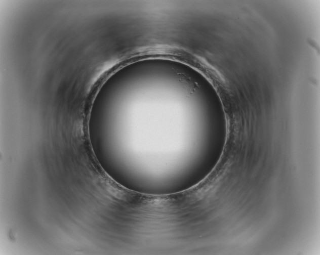 X0000096461166200801241400