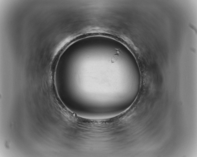 X0000096461167200801241400