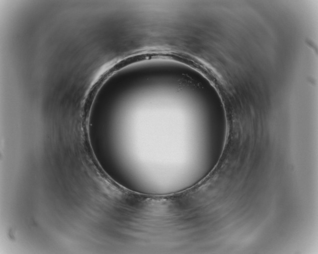 X0000096461168200801241400
