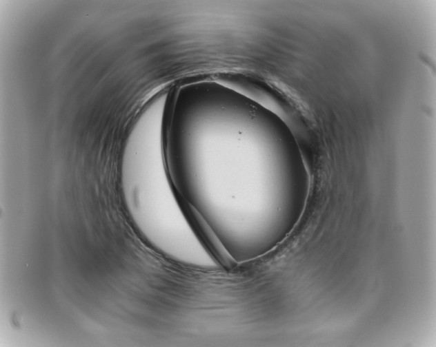 X0000096461169200801241400