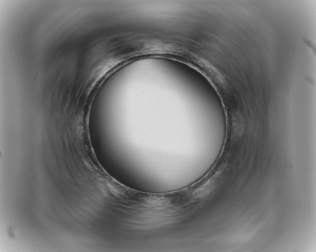 X0000096461170200801241400
