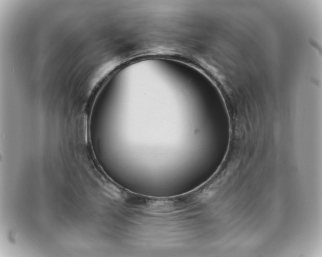 X0000096461171200801241400