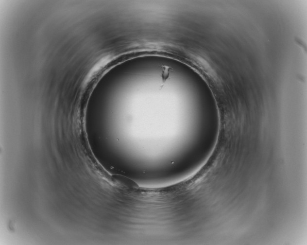 X0000096461172200801241400
