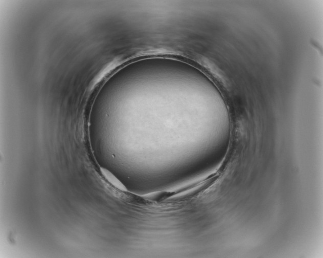 X0000096461173200801241400