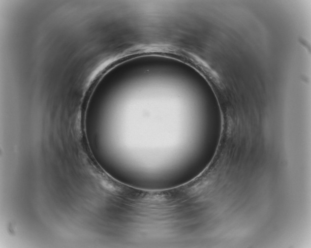 X0000096461174200801241400