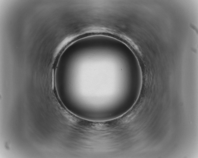 X0000096461175200801241400