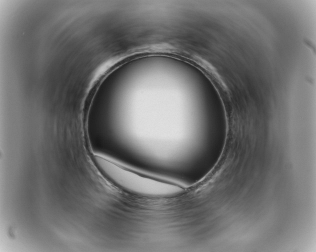 X0000096461176200801241400