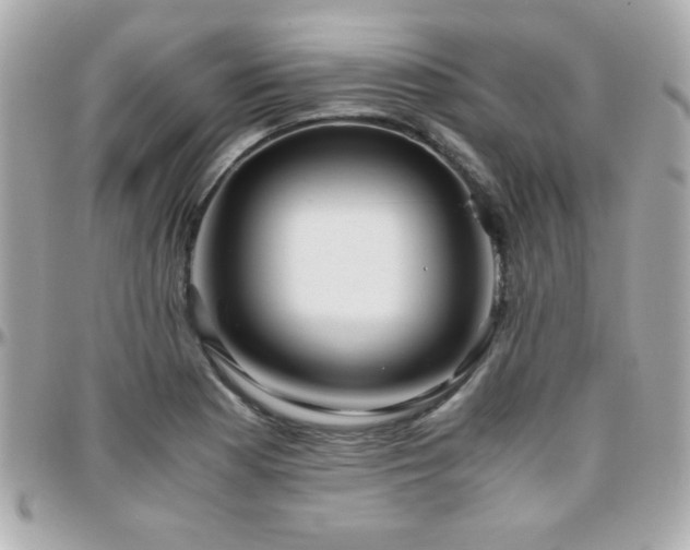X0000096461177200801241400