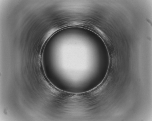 X0000096461178200801241400
