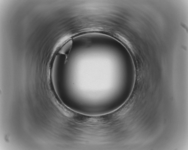 X0000096461179200801241400
