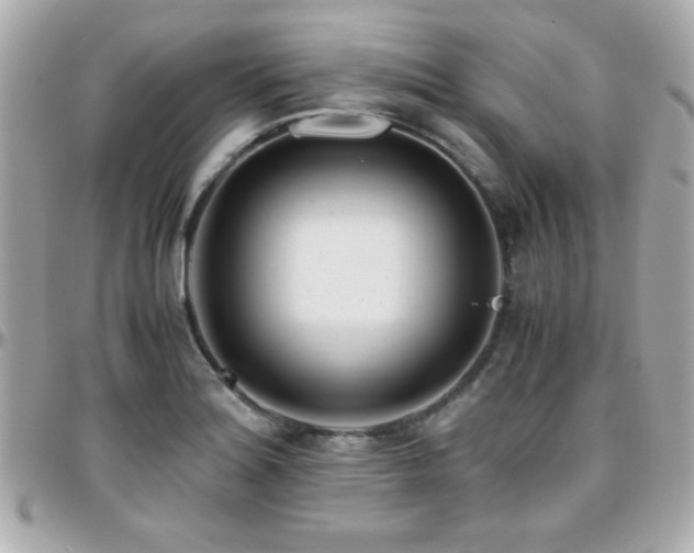 X0000096461180200801241400