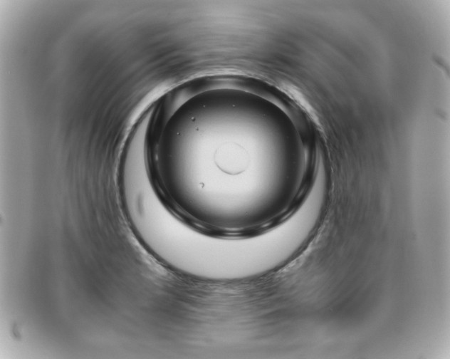 X0000096461181200801241400