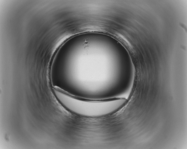 X0000096461182200801241400