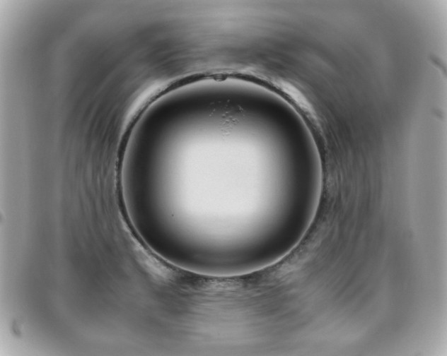 X0000096461183200801241400