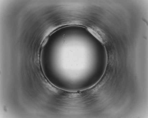 X0000096461184200801241400