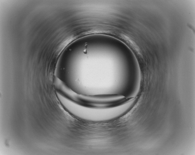 X0000096461185200801241400