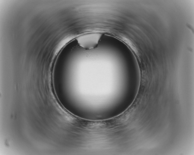 X0000096461187200801241400