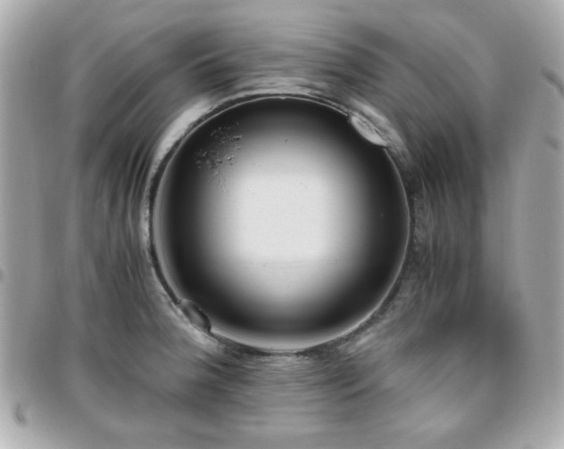 X0000096461188200801241400