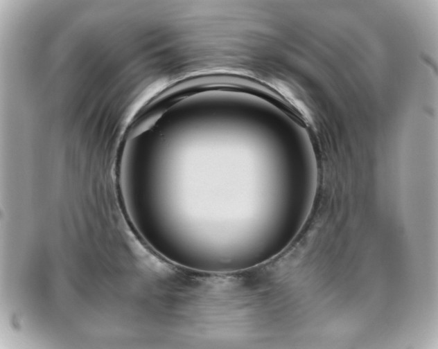 X0000096461189200801241400