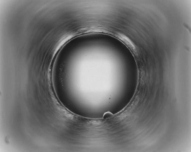X0000096461190200801241400