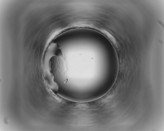 X0000096461191200801241400