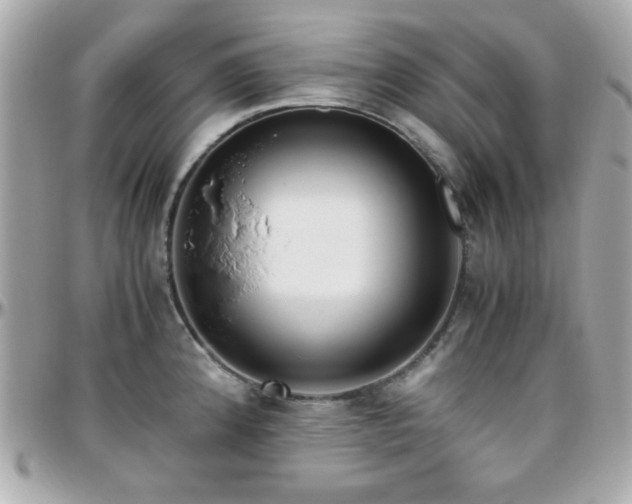 X0000096461192200801241400