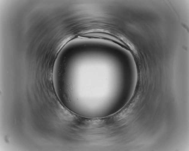 X0000096461193200801241400