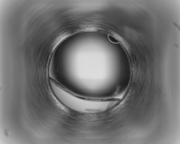 X0000096461194200801241400