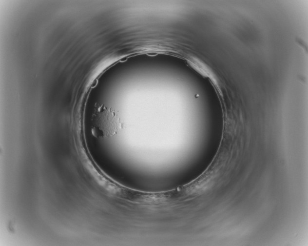 X0000096461195200801241400