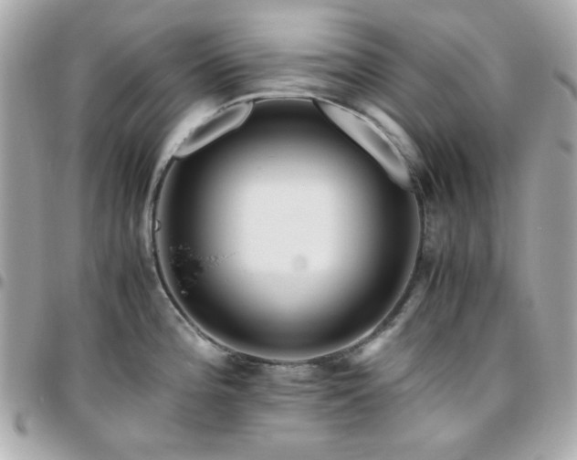 X0000096461196200801241400