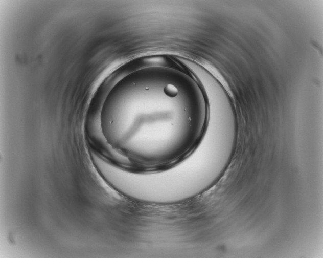 X0000096461197200801241400