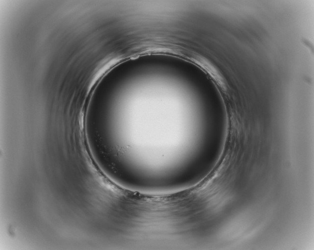 X0000096461198200801241400
