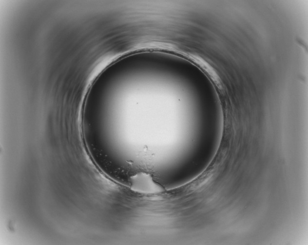 X0000096461199200801241400