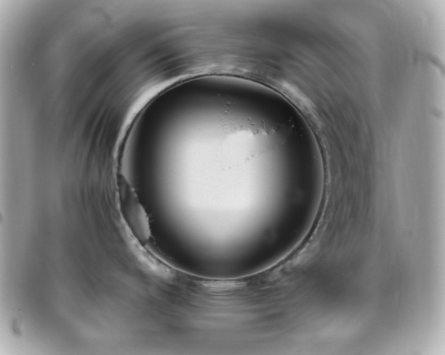 X0000096461200200801241400