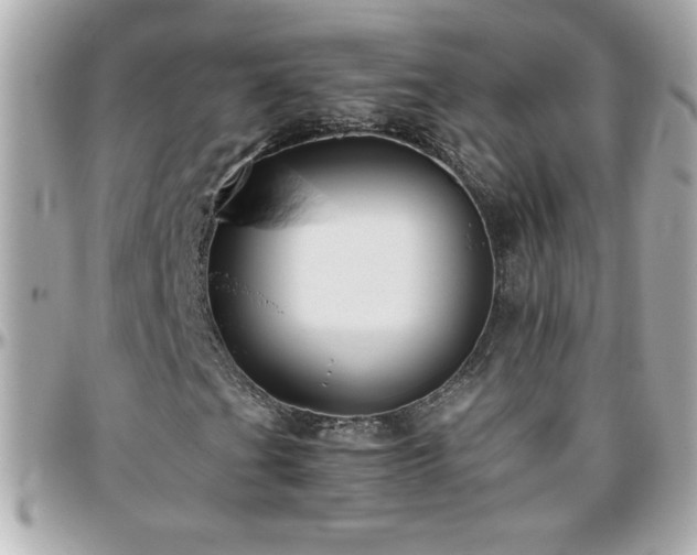 X0000096461201200801241359