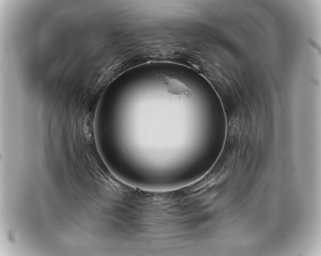 X0000096461202200801241359