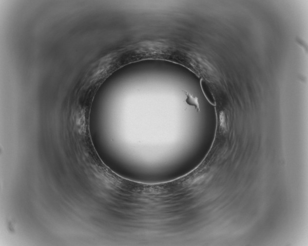 X0000096461203200801241359