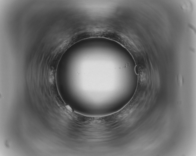 X0000096461204200801241359
