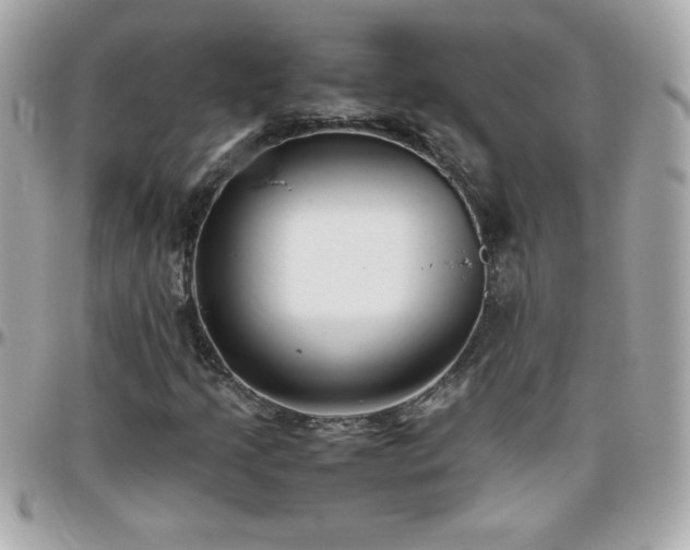 X0000096461205200801241359