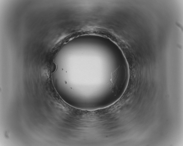 X0000096461206200801241359