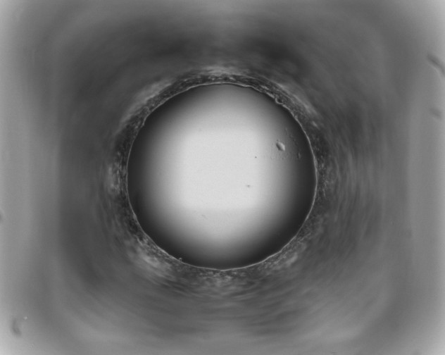 X0000096461207200801241359