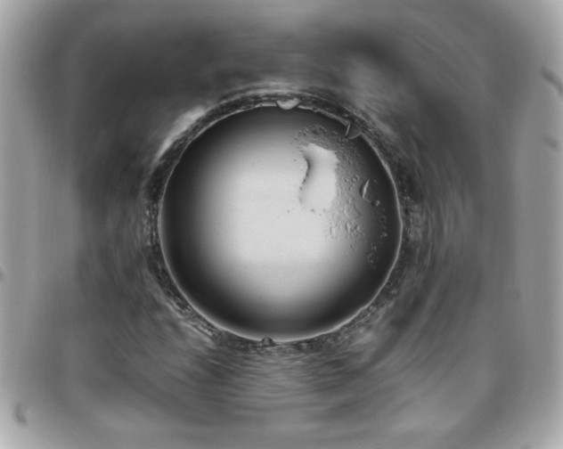 X0000096461208200801241359