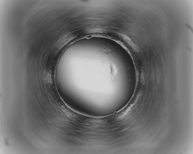 X0000096461209200801241359