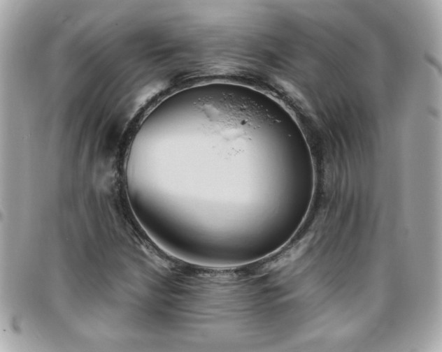 X0000096461210200801241359