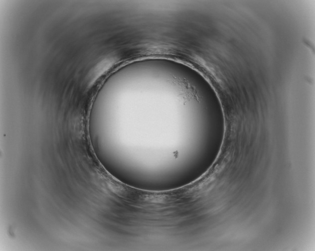 X0000096461211200801241359